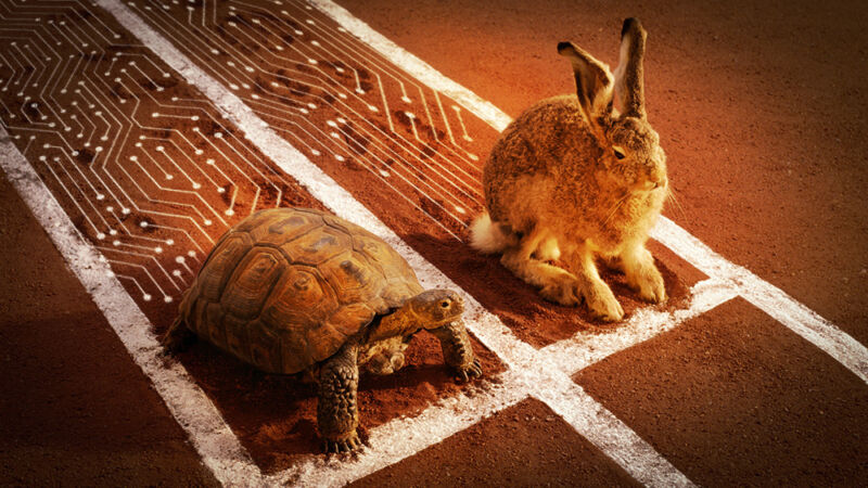 A tortoise and a hare are on a racetrack.