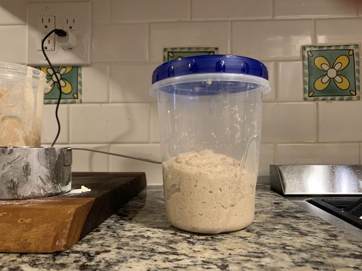 Sourdough starter in a cylindrical plastic container sitting on a kitchen counter.