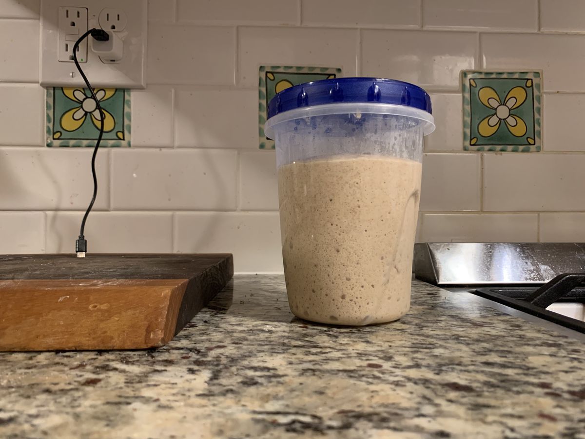Sourdough starter in a cylindrical plastic container sitting on a kitchen counter.