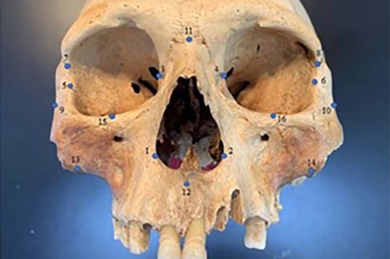Earlier this year, researchers analyzed the skulls of early Caribbean inhabitants, using 3D facial