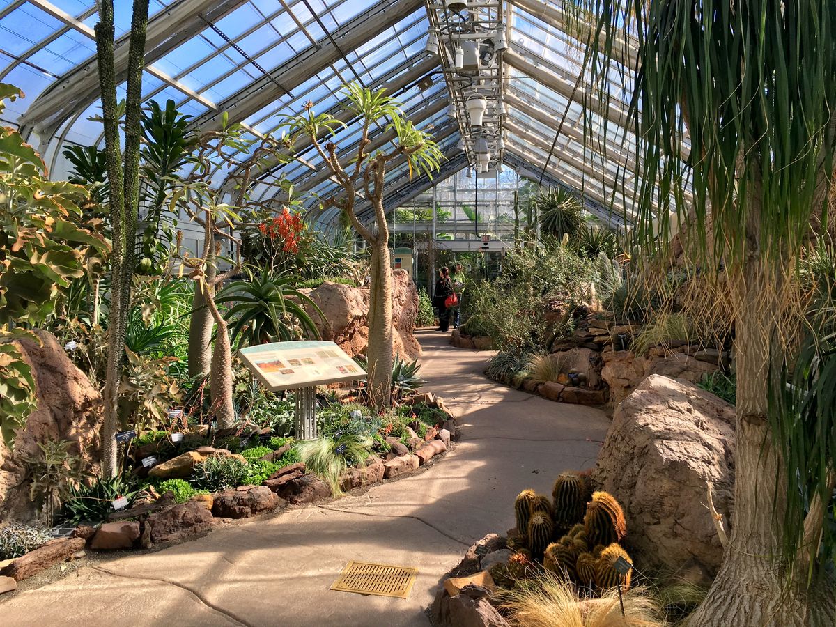 The World Deserts exhibit at the US Botanic Garden in Washington, DC.