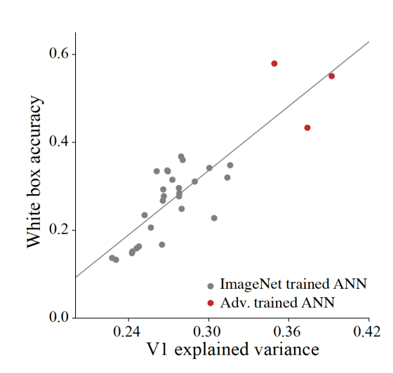 neural networks adversarial robustness