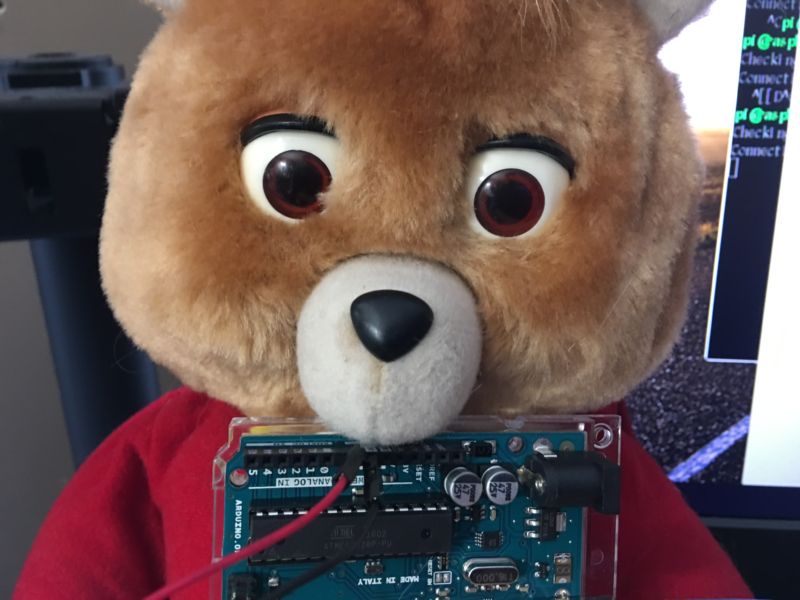 Tedlexa, an IoT stuffed bear.
